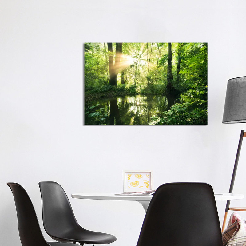 Eden Woods by Stefan Hefele - Wrapped Canvas Gallery-Wrapped Canvas Giclée, 66.04cm H x 101.6cm W