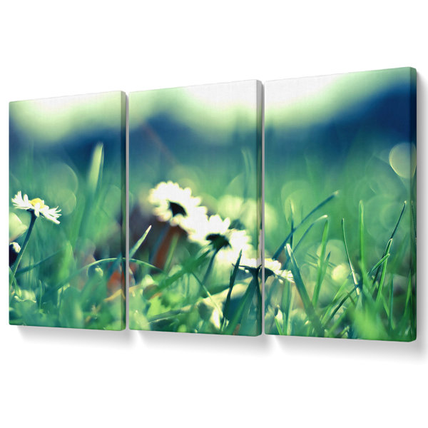 Ebern Designs Daisies And Grass - 3 Piece Wrapped Canvas Art Prints ...
