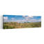 Saguaro National Park, Tucson, Az, États-Unis-1713022194