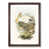 Walnut Framed selected