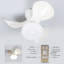 Dimmable Ceiling Fan with Lighting-469795925