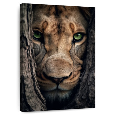 Brampt Hiding Lioness
