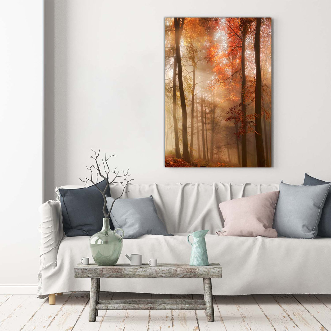 Herbstwald - Kunstdrucke auf Leinwand - Wrapped Canvas