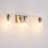 Aryka 3 - Light Dimmable Vanity Light