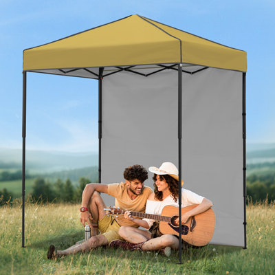 6x4 Canopy Tent, Heavy Duty Pop up Canopy with Sidewall