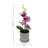 Nataliea Hydrangea Arrangement in Vase