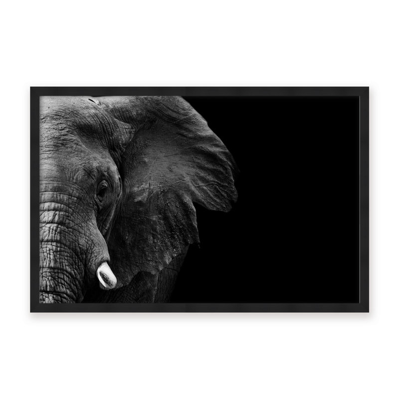Nature Inspired Elephant by  - Picture Frame Photograph on Paper, 32" H x 48" W x 1.125" D, Framed Matted Print, Black