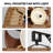 Wall Mounted Fan Dimmable Ceiling Fan With Remote Included