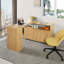 Alhassane Computer Desk