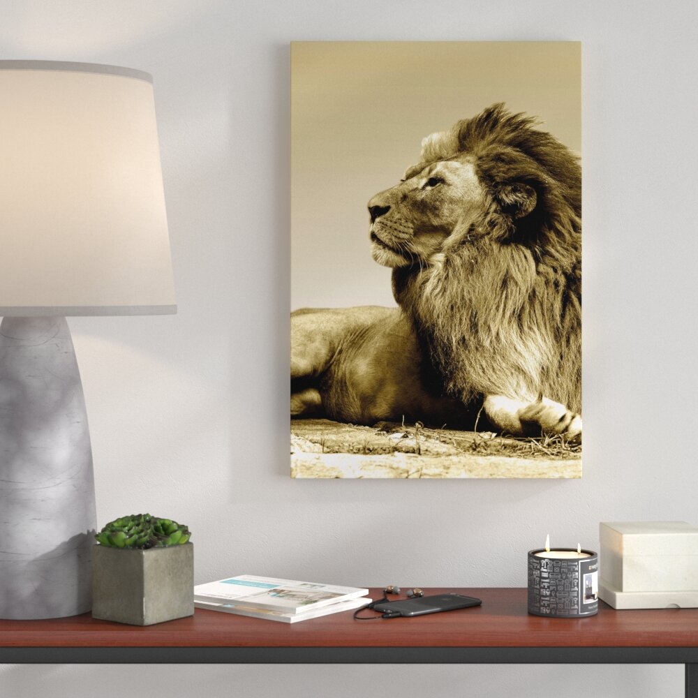 Fotodruck Laying Lion