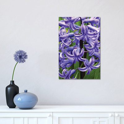 Hyacinths 1 Piece Wrapped Canvas Wall Art