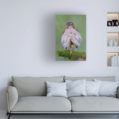 Bolog Ray Cooper Relaxed Canvas Art
