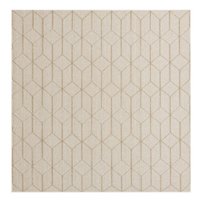 Indoor/Outdoor Trellis Area Rug