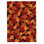 Millbrook Hand Tufted Floral Indoor Rug
