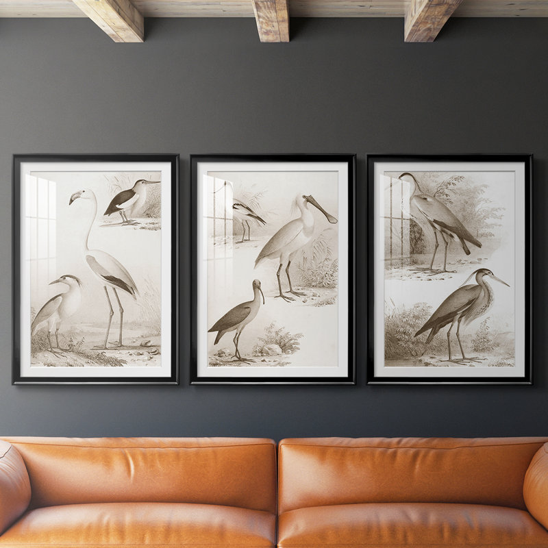 Oiseaux d'eau sépia I - reproduction sur mesure encadrée de qualité supérieure - 3 pièces, H 19 po x l 27 po