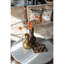Coffee Table Marble Top Single Coffee Table