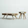Rabideau 2 Piece Coffee Table Set