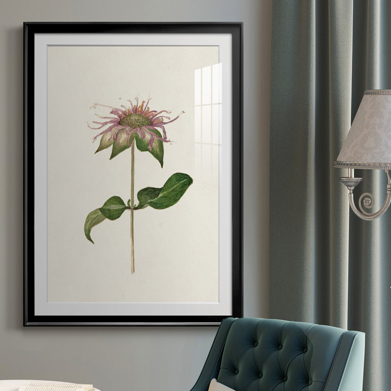Mauve Garden Flowers V - peinture encadrée, Cadre noir, H 30,5 po x l 22,5 po x P 1 po