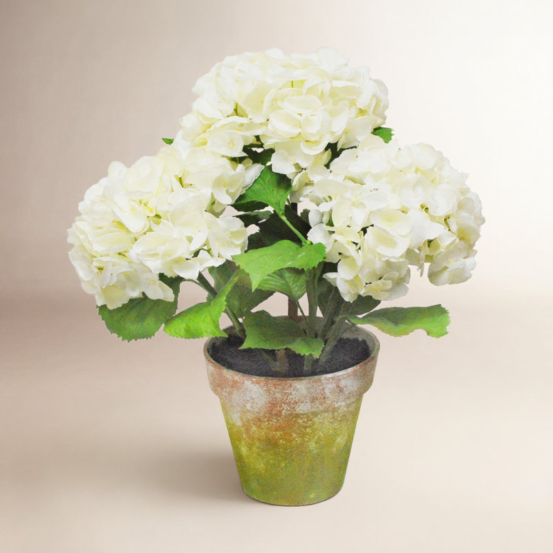 Hydrangea Floral Arrangement, White, 17" H x 15" W 