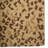 Fauna-Cheetah-1119353617