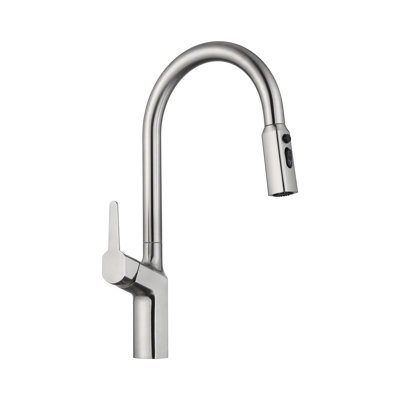 Single Handle Kitchen Faucet with Pull-Down Sprayer