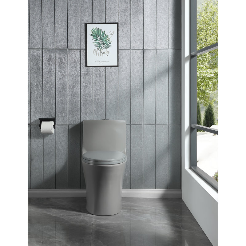 Giancarlo Dual-Flush One-Piece Elongated Toilet, Grey