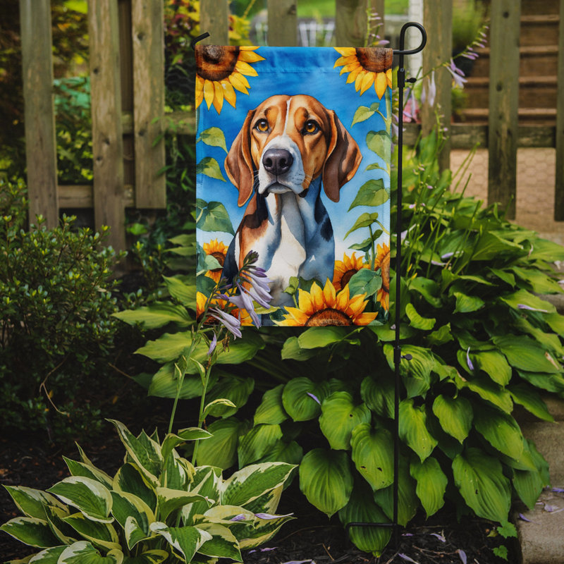 Lévrier irlandais dans le drapeau du jardin de tournesols, Foxhound américain
