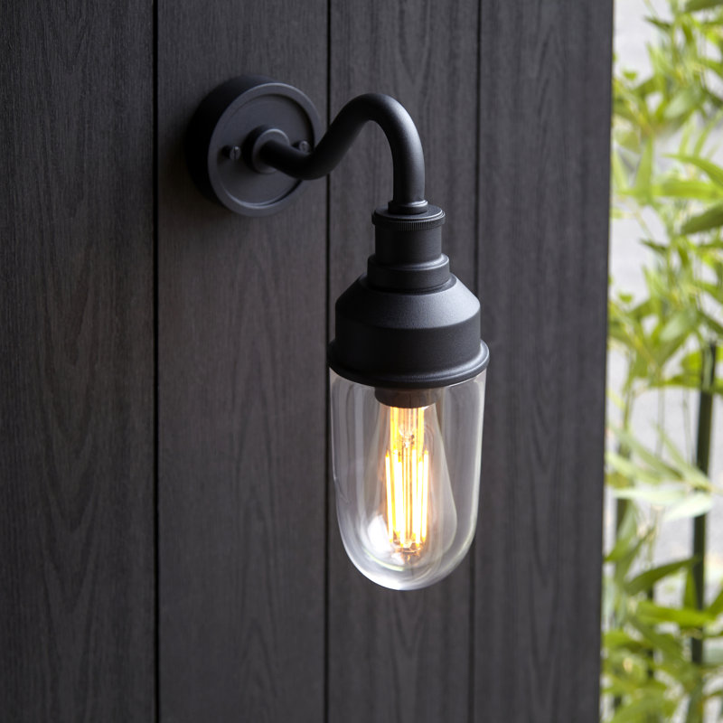 Kevelyn Brass Outdoor Barn Light, Black