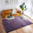 Shahen Rectangle Shag Area Rug-738442617-803208723
