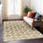 Machine Washable Indoor/Outdoor Chantille ACN2423 Geometric Rug-1396696252