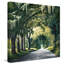 " Down The Rabbit Hole Square " by Bruce Nawrocke-31476946-31935661