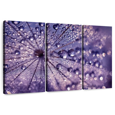 Harnek reflets mauves