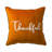 Pillow Cover