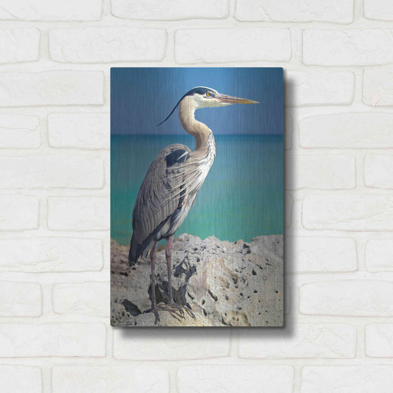 «Blue Heron», impression sans cadre sur métal, H 16 po x l 12 po x P 0,13 po