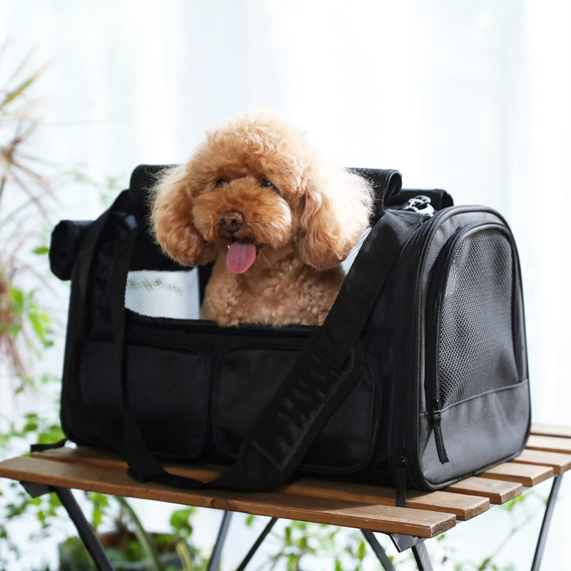 Pet Carrier, Black