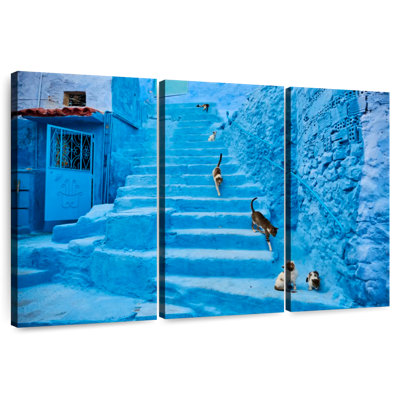 Chats Brampt Chefchaouen