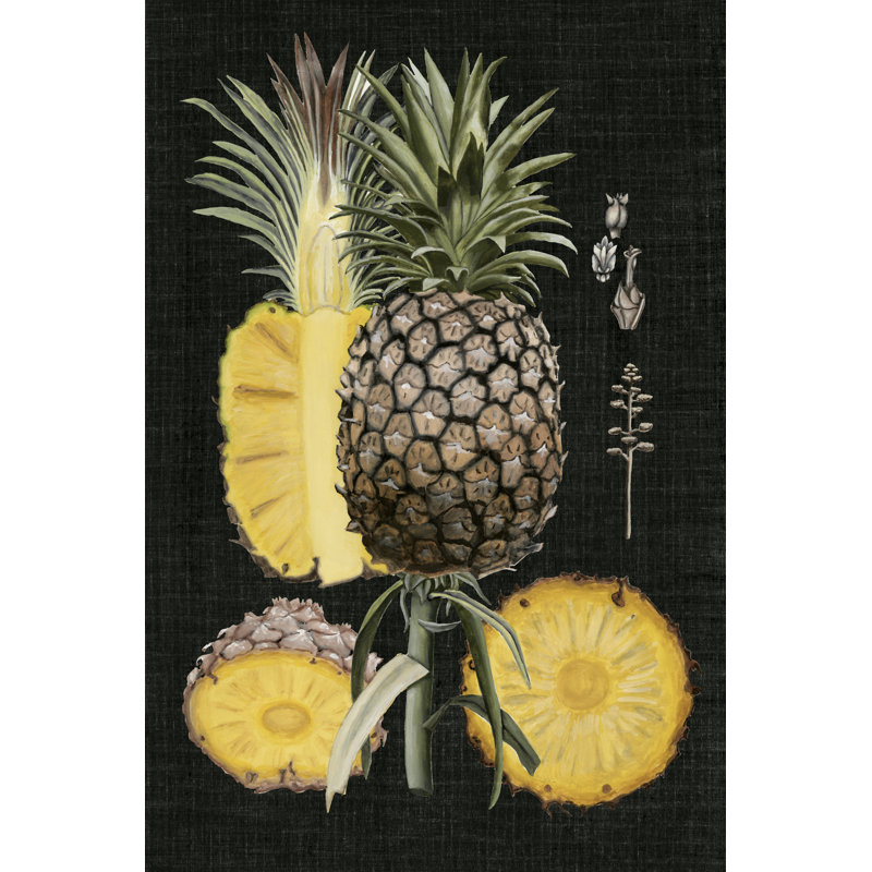 Pineapple Botanical Study II by Naomi McCavitt - Graphic Art, 91cm H x 61cm W, Black Floater Framed