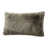 Fossile