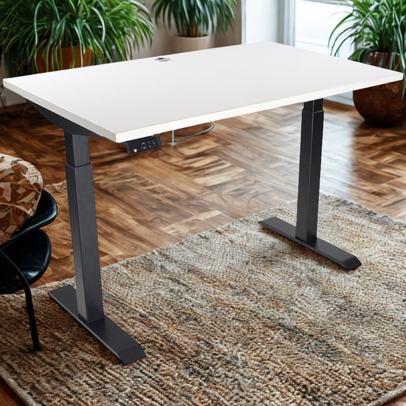 Skyscraper Electric Height Adjustable Standing Desk, Dual Motor and Digital Control with Memory, 48x30, White Top with Black Frame