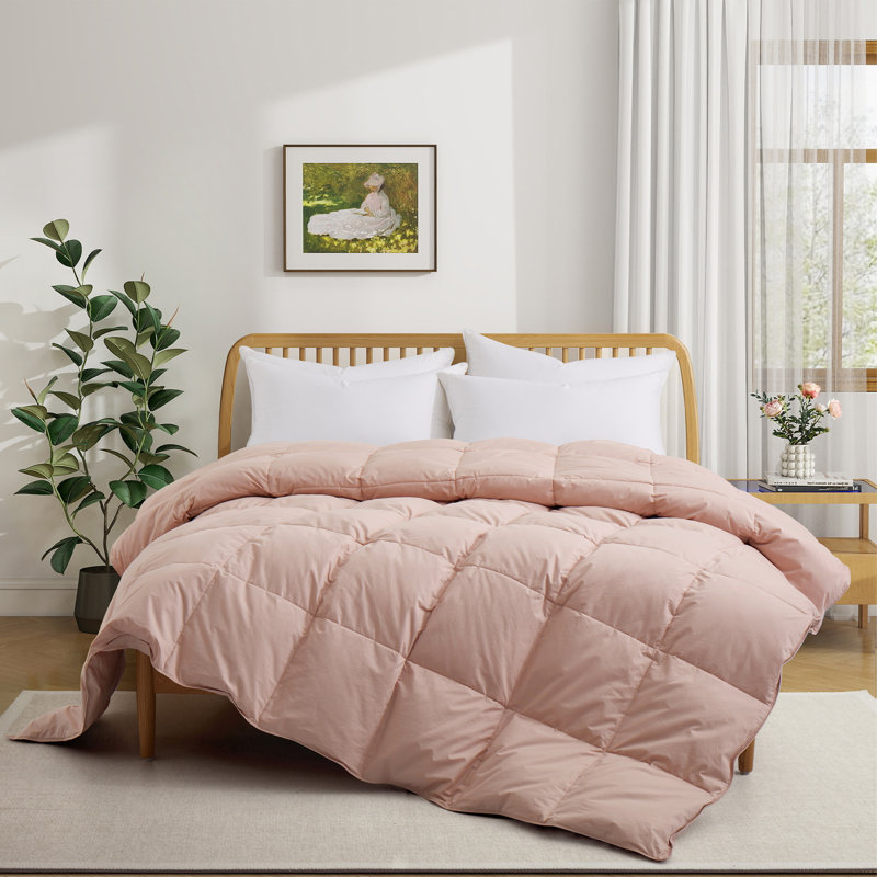 All Season Cotton Down Comforter/Duvet Insert, King Comforter, Pink