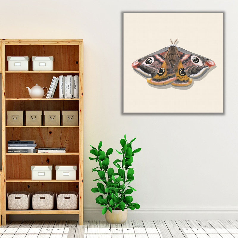 «Watercolor Moths I», reproduction d'art sur toile, H 12 po x l 12 po