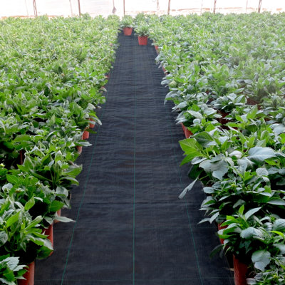 Géotextile de contrôle des herbes tissé robuste pour jardin, patio