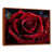 Brown Floater Framed