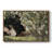 " Vintage Landscape -DLXIV "-939961688-939970108