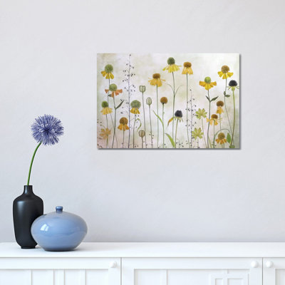 Helenium by Mandy Disher - Print on Canvas