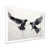 White Single Picture Framed