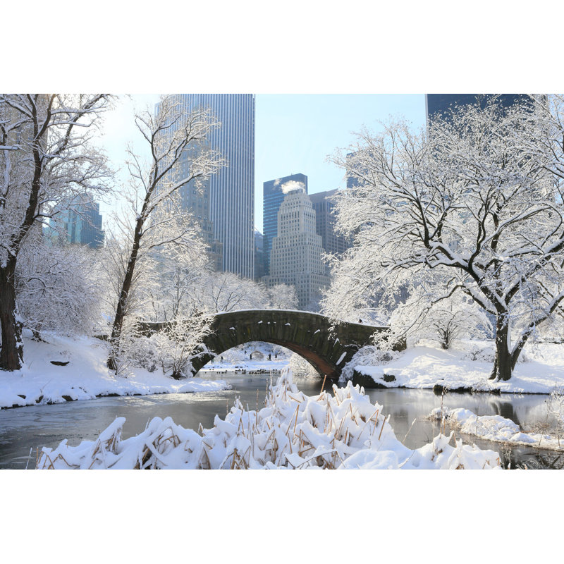 Central Park In Snow by Earth Scape Image Graphy - Wrapped Canvas Print, 51cm H x 76cm W x 3.8cm D