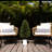 3ft. UV Resistant Artificial Cedar Tree in Decorative White Planter (Indoor/Outdoor)