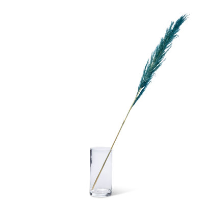 Ensemble de 56 po Pampas