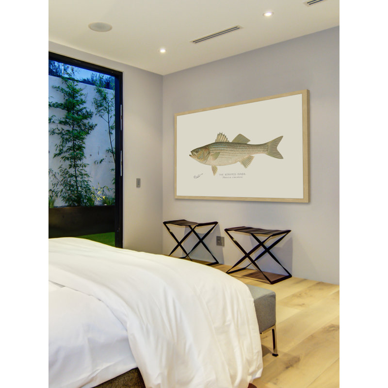 "Bass" Framed Print, 20" H x 30" W x 1.5" D